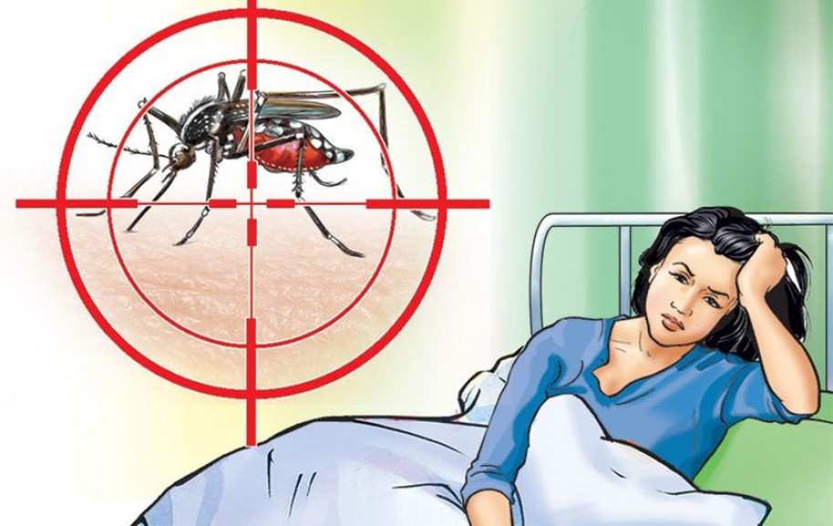 साढे २३ हजारभन्दा बढीमा डेंगु संक्रमण 